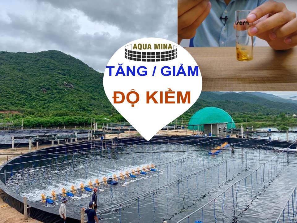 cach tang giam do kiem ao tom.jpg (394 KB)