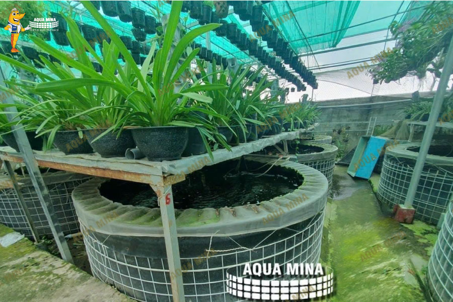 CELEBRATING THE NEW MONTH - AQUA MINA OFFERS FREE INSTALLATION OF WATER TANKS UP TO 3 MILLION VND