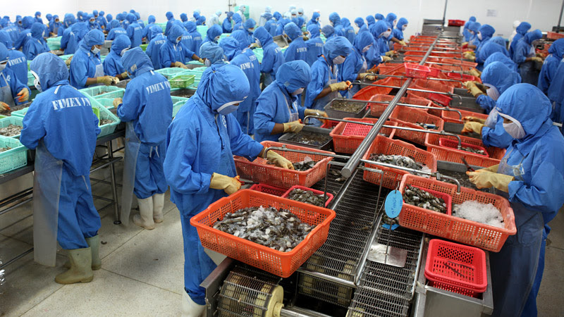 Việt Nam xuất khẩu thủy sản đứng thứ 4 thế giới