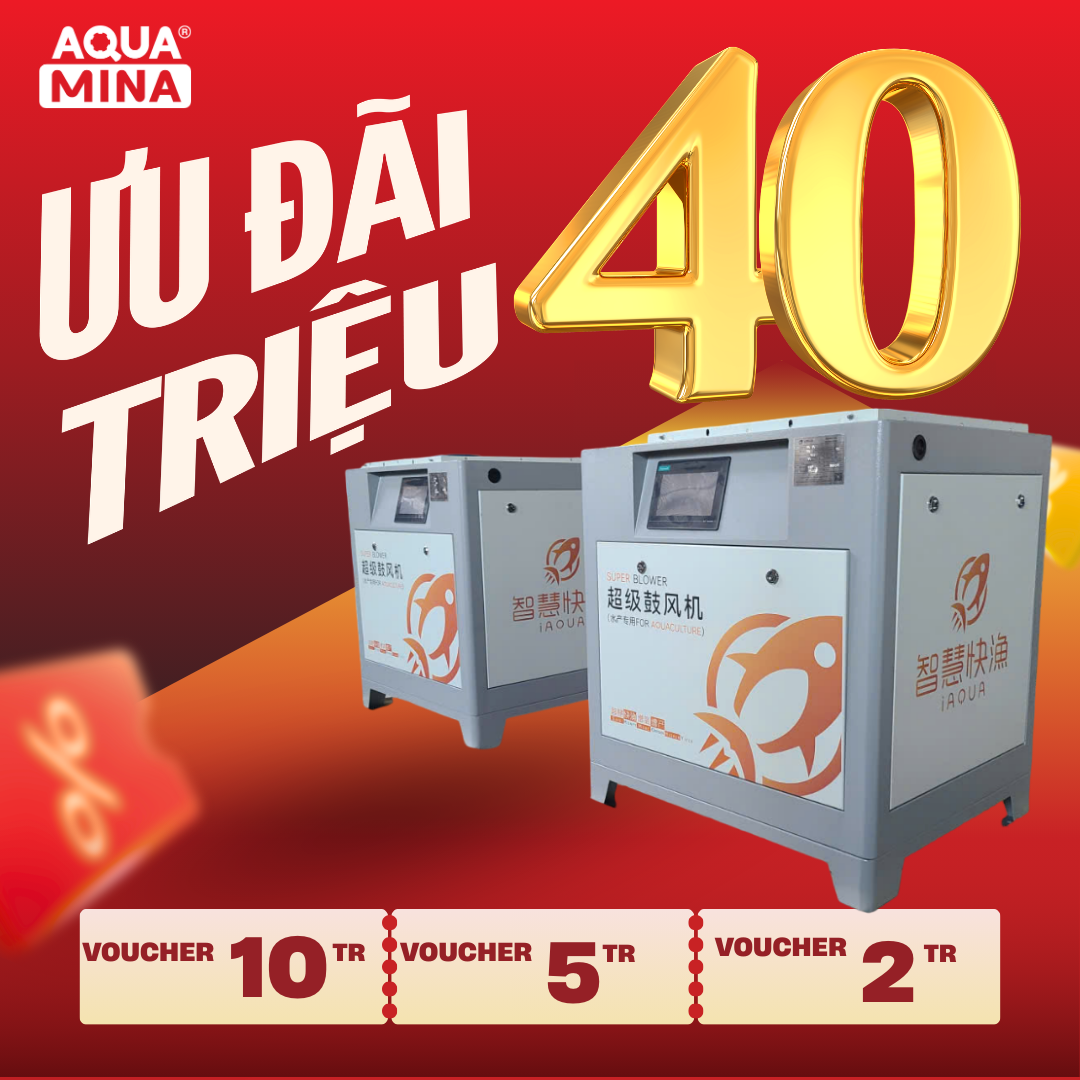 AQUA MINA TẠI VIETSHIRMP 2026 - ƯU ĐÃI LÊN ĐẾN 40 TRIỆU KHI MUA MÁY THỔI KHÍ THỦY SẢN TURBO AQUA MINA