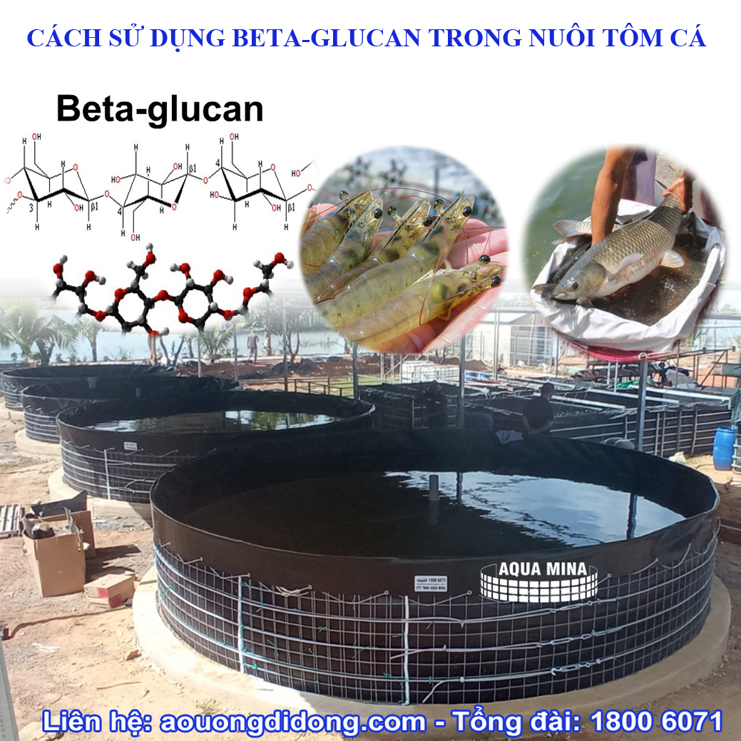Cách sử dụng beta-Glucan trong nuôi tôm cá