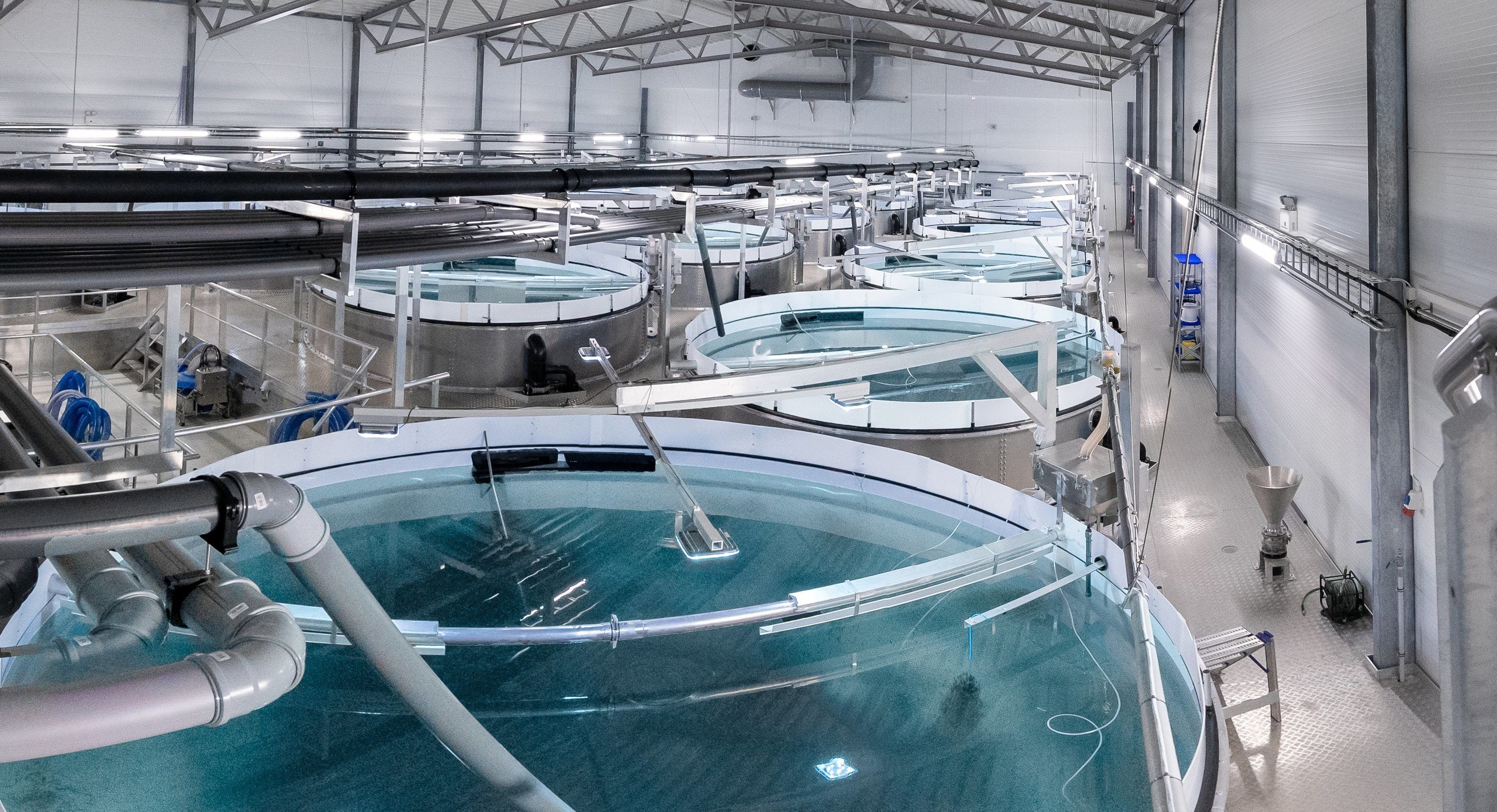 Công ty kỹ thuật nuôi trồng thủy sản định hình lại hoạt động sản xuất thủy sản đô thị