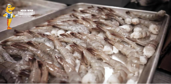 Export shrimp prices in Ecuador sharply declined in July 2023