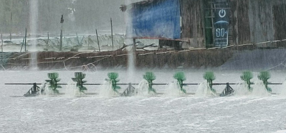 Lũ lụt tàn phá hoạt động nuôi trồng và chế biến thủy sản tại Việt Nam