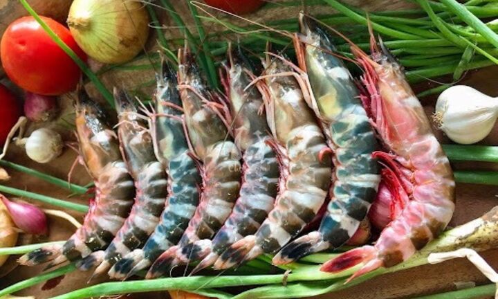 Sau sáp nhập, một tỉnh có thế mạnh về cà phê bất ngờ thành ‘vựa nuôi tôm’ lớn