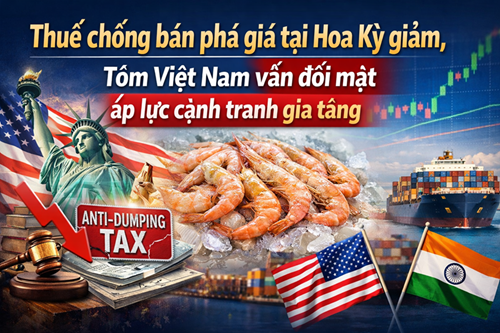 Thuế chống bán phá giá tại Hoa Kỳ giảm, tôm Việt Nam vẫn đối mặt áp lực cạnh tranh gia tăng aqua mina