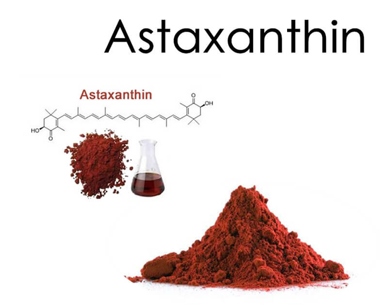 Vai trò Astaxanthin trong nuôi tôm