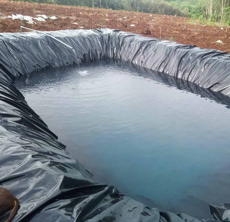 Vì Sao Nhiều Gia Đình Chọn Bạt HDPE Để Trữ Nước Mùa Mưa?
