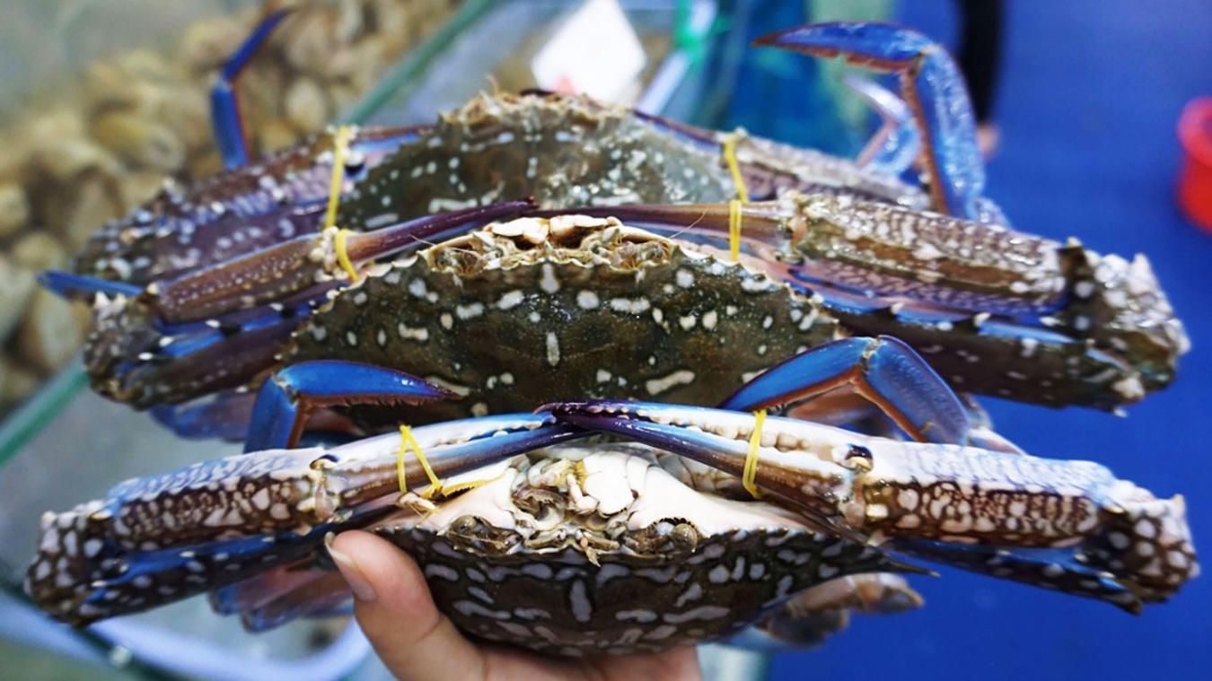 Xuất khẩu ghẹ sang Mỹ chiếm hơn 80%