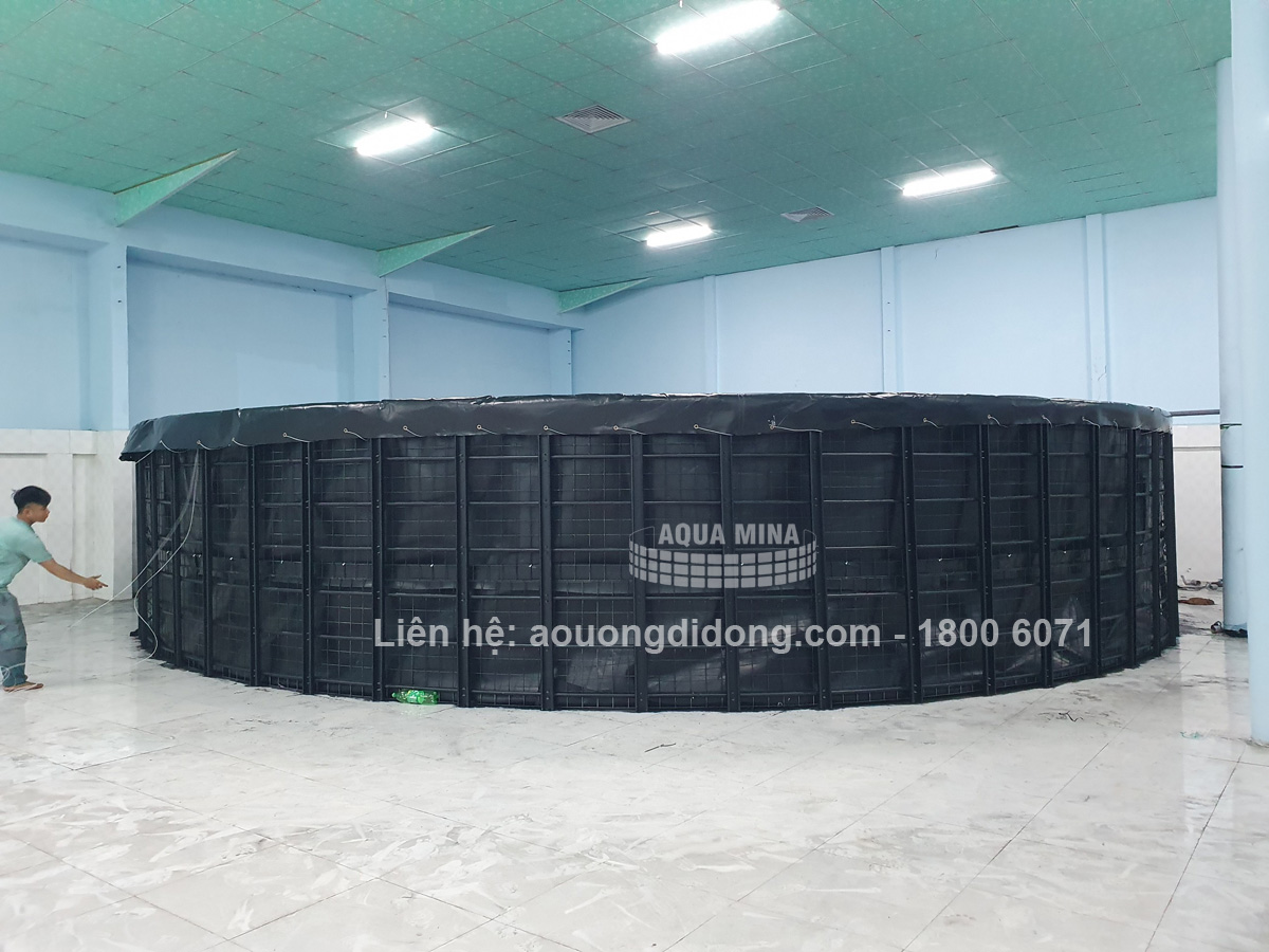 Bể chứa nước D11