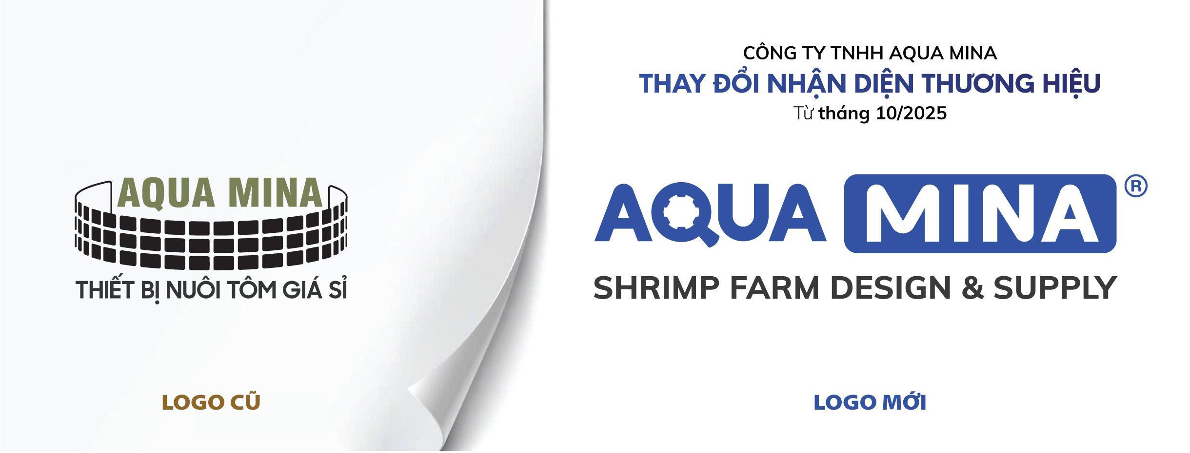 AQUA MINA RA MẮT LOGO MỚI – TẦM NHÌN MỚI, VƯƠN TẦM QUỐC TẾ